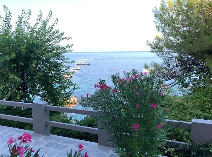 Beachfront Rosa Del Mar Jardin