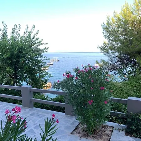 Beachfront Rosa Del Mar Jardin