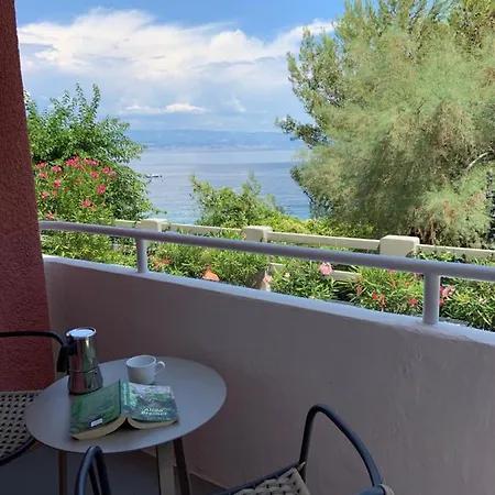 Апартаменты Beachfront Rosa Del Mar Jardin